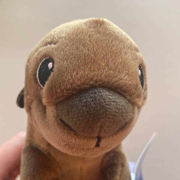 Disney pixar finding Dory sea otter - Picture 5 of 5